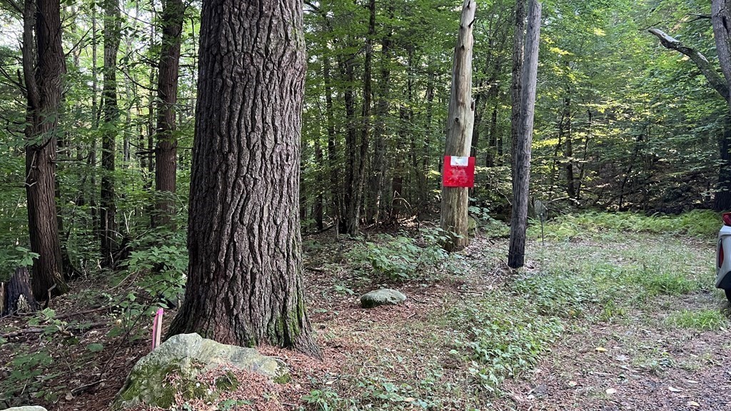 0 Rainbow Road East Otis, MA 01029 - Photo 12 of 14 Gallery Image 12