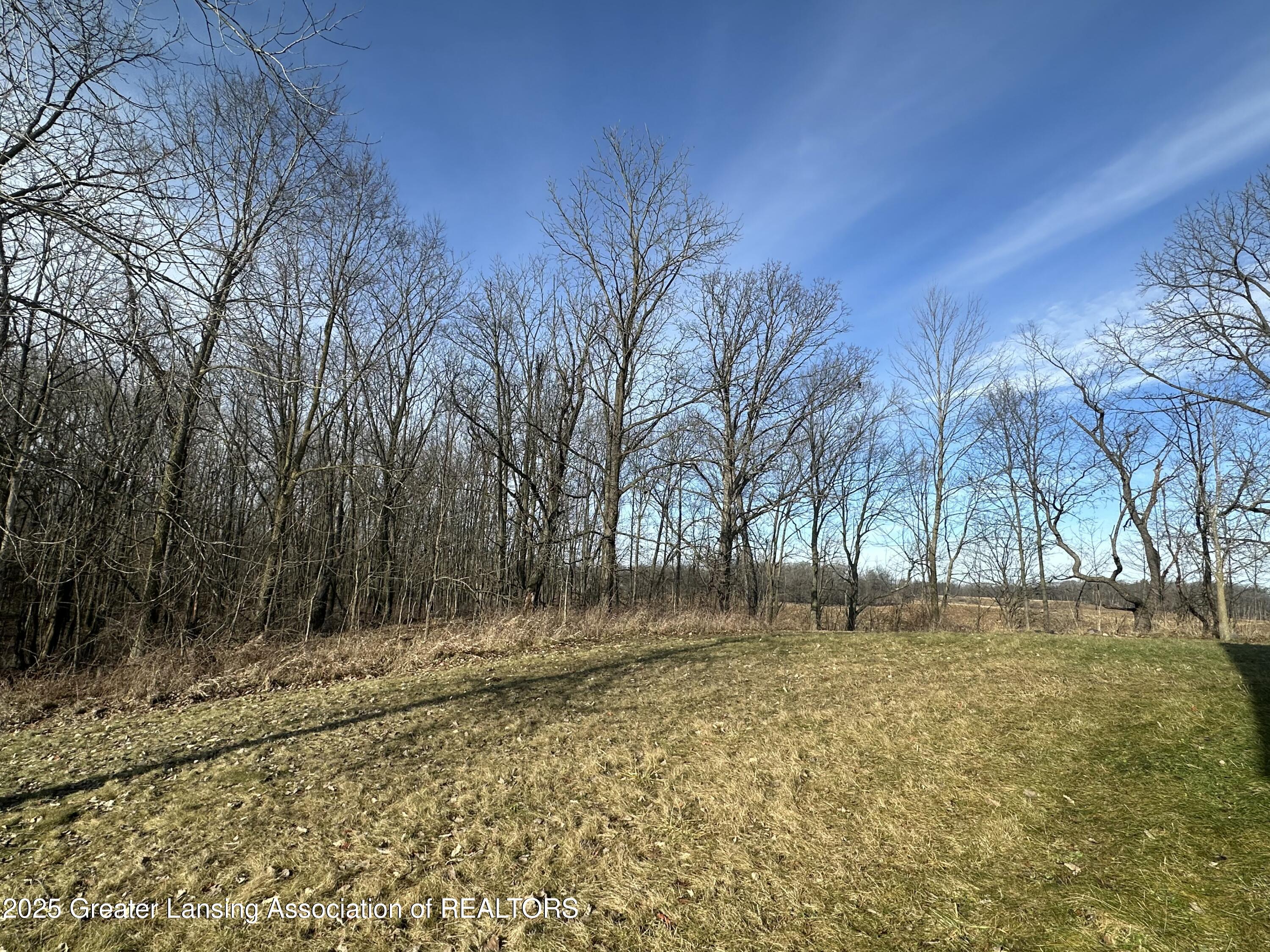 9828 Pheasant Ridge Drive Portland, MI 48875 - Photo 10 of 37 IMG_7641