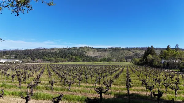 a view of a lake with mountains in the background