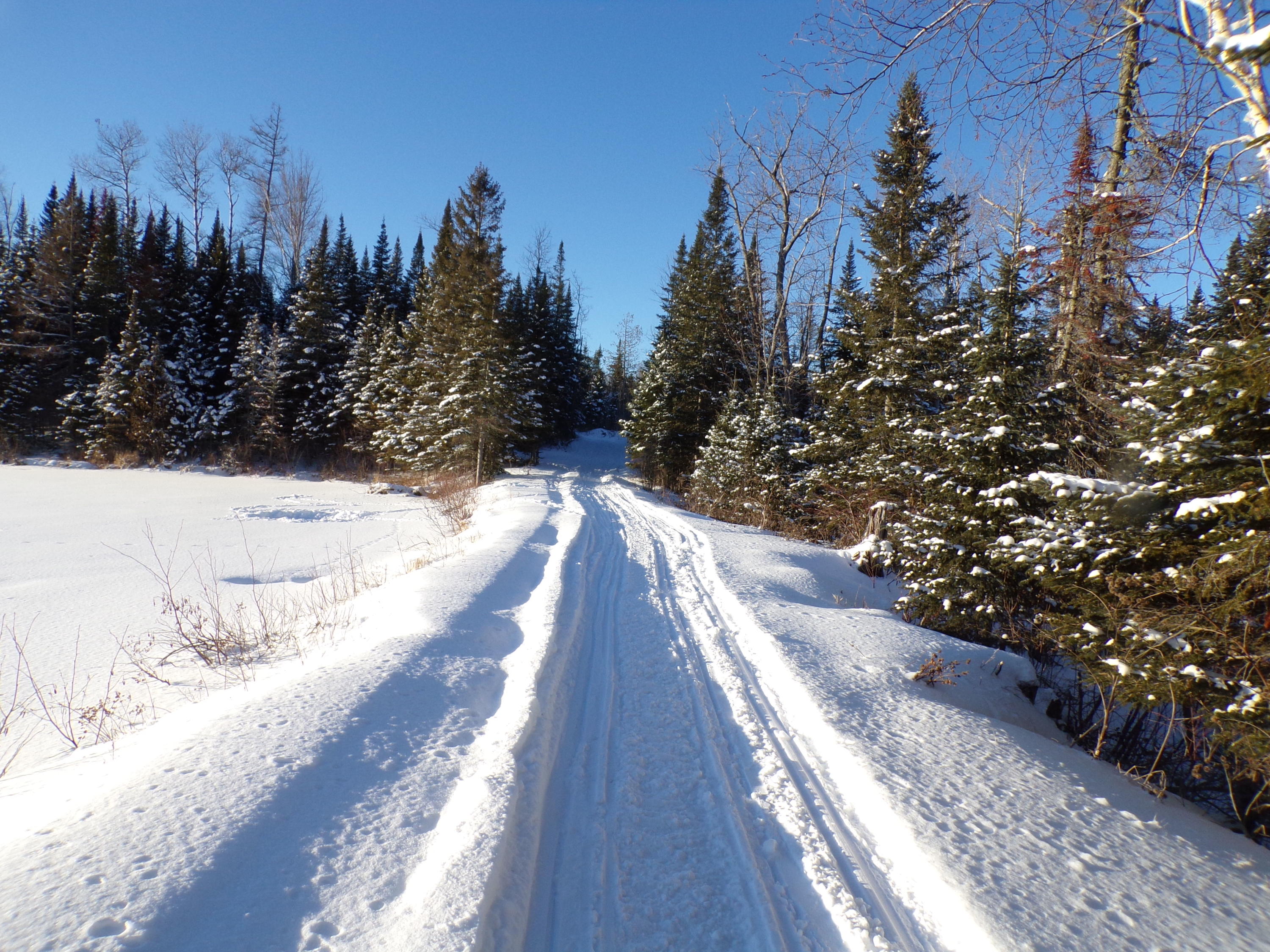 90 Lathrop Road Presque Isle, ME 04769 - Photo 25 of 31 7 acre pond
