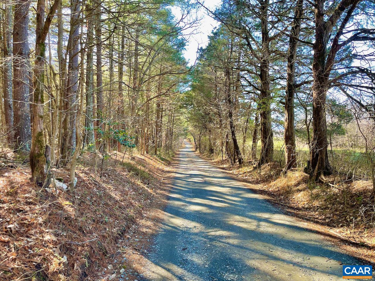 403 Pathwork Way Madison, VA 22727 - Photo 23 of 30 a view of a yard with plants and trees