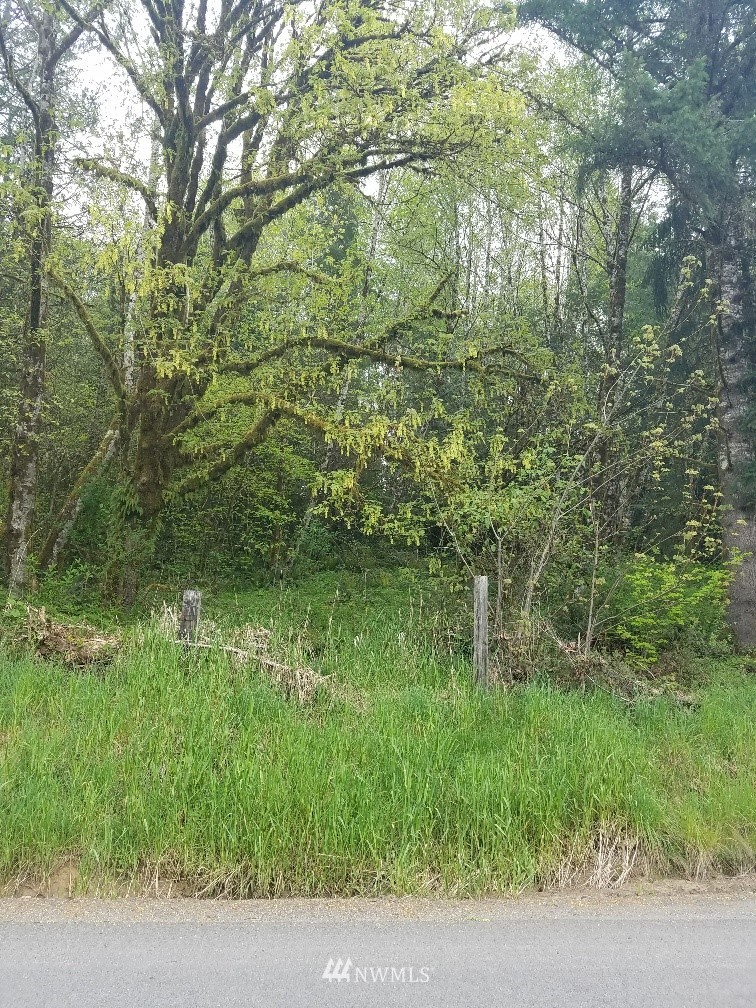 440-next To Mill Creek Road Longview, WA 98632 - Photo 1 of 4