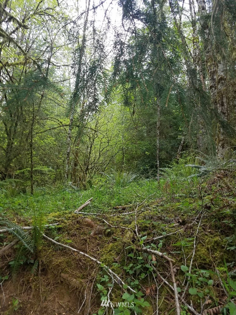 440-next To Mill Creek Road Longview, WA 98632 - Photo 2 of 4