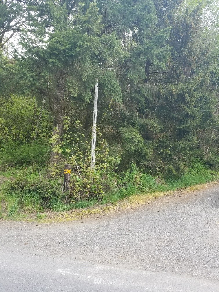 440-next To Mill Creek Road Longview, WA 98632 - Photo 3 of 4