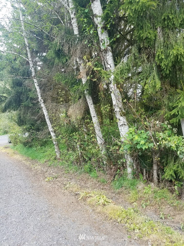 440-next To Mill Creek Road Longview, WA 98632 - Photo 4 of 4