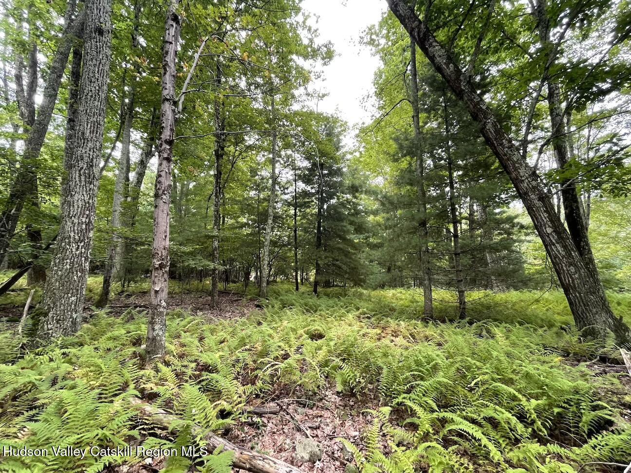 0 Oak Ridge Road Ellenville, NY 12428 - Photo 8 of 18 Hill10ac6