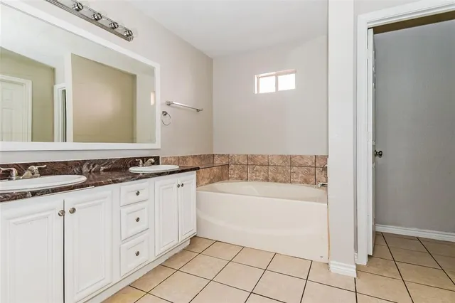 a bathroom with a sink a mirror and a bathtub with shower