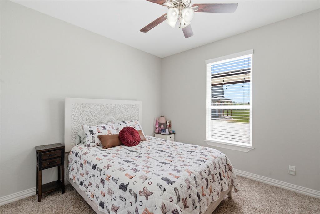 4095 Agnes Circle Springtown, TX 76082 - Photo 21 of 40