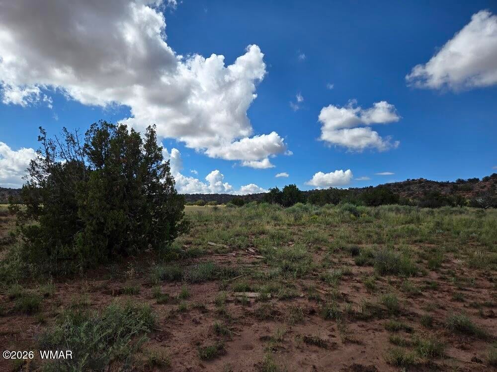 3861 Coronado Road Snowflake, AZ 85937 - Photo 13 of 29 Gallery Image 13