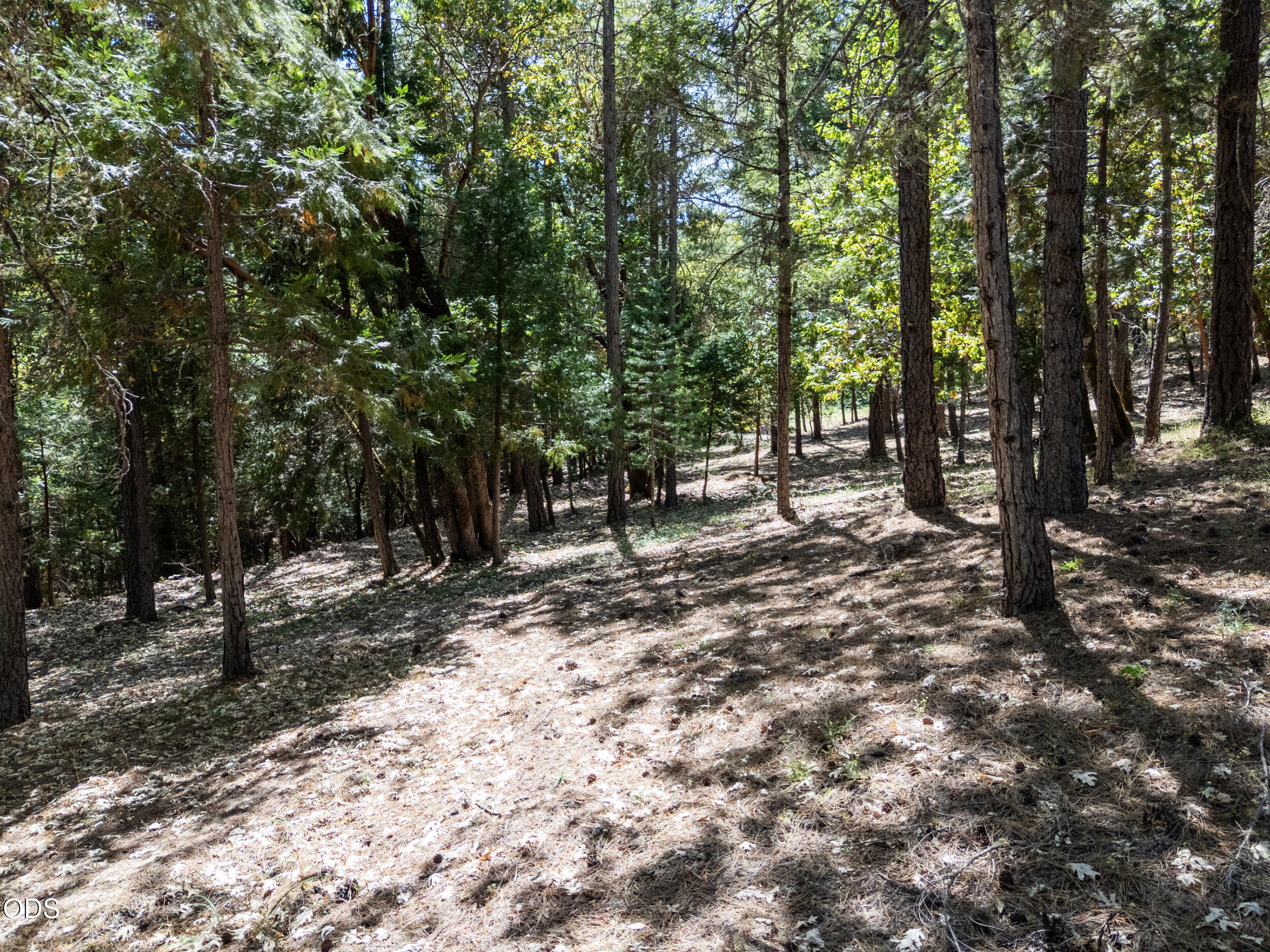 1281 North Pinnon Road Grants Pass, OR 97526 - Photo 43 of 55