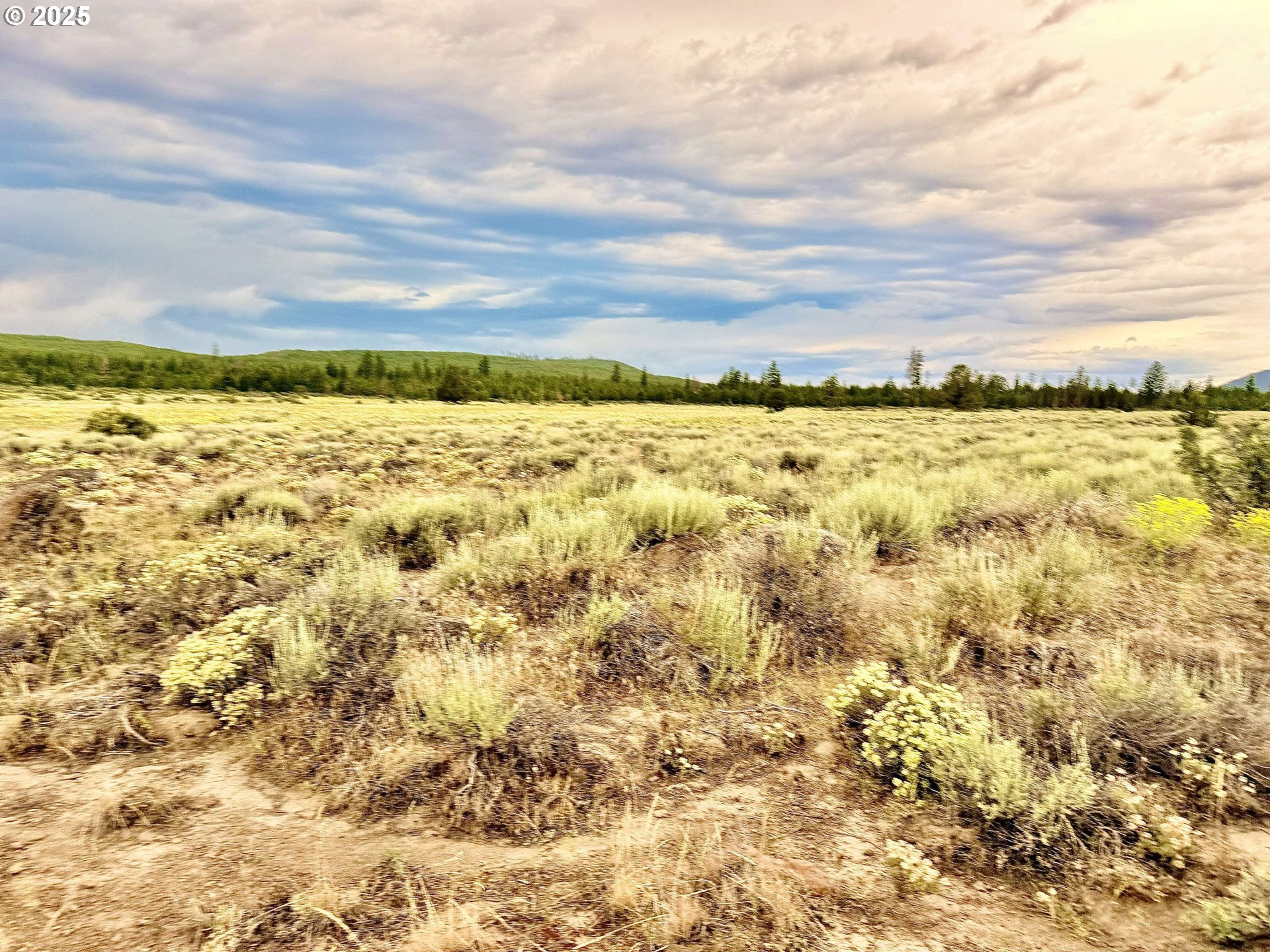 Oregon Pines Road Beatty, OR 97621 - Photo 4 of 8 a view of an ocean