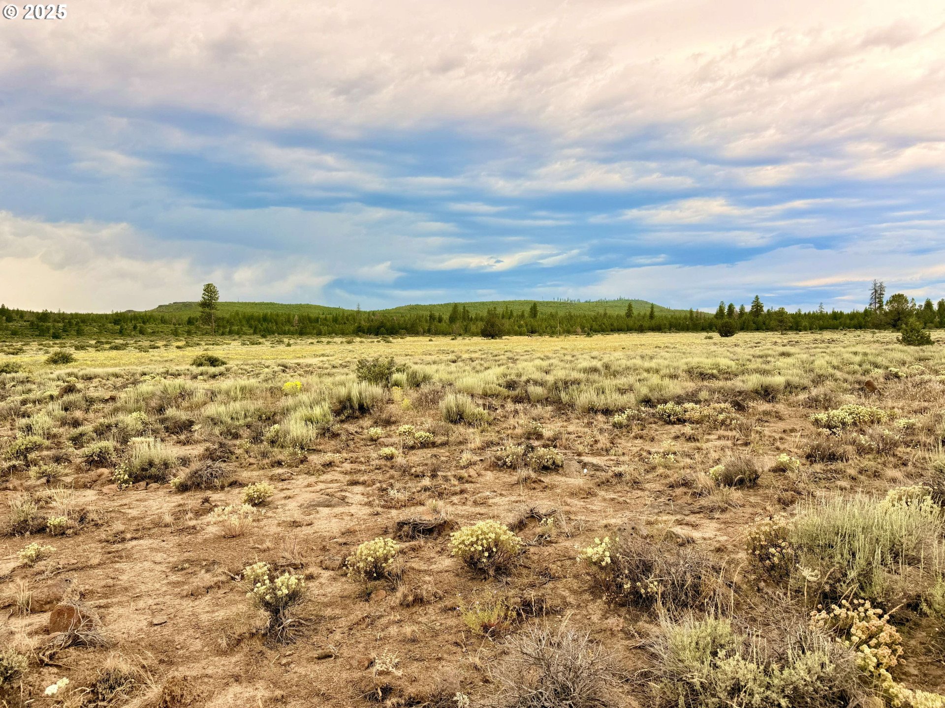 Oregon Pines Road Beatty, OR 97621 - Photo 8 of 8 a view of an ocean