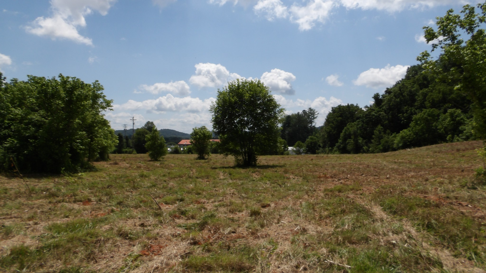 0 Lonnie Reecer Road Celina, TN 38551 - Photo 15 of 43 a view of a yard