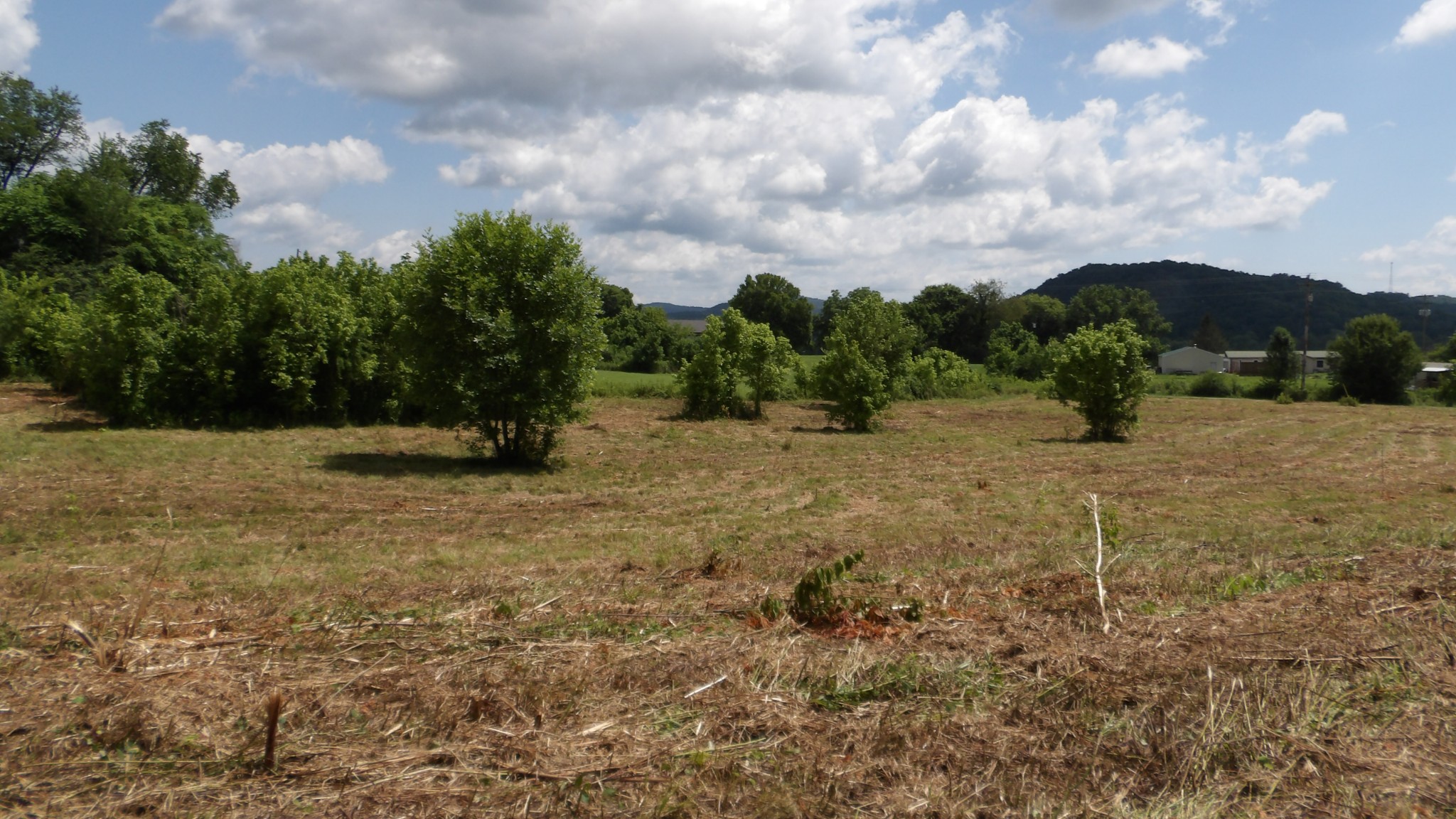 0 Lonnie Reecer Road Celina, TN 38551 - Photo 18 of 43 a view of outdoor space with green field and trees