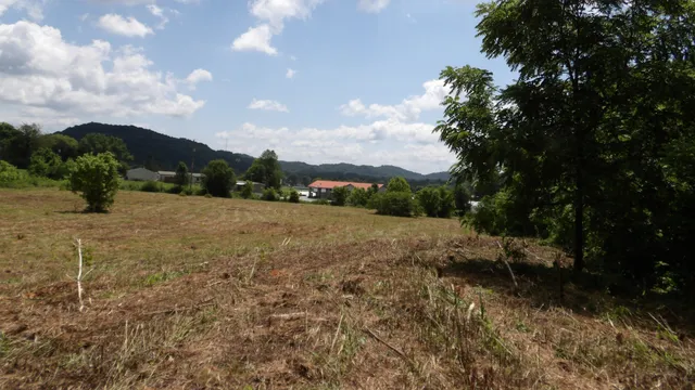 a view of outdoor space and yard