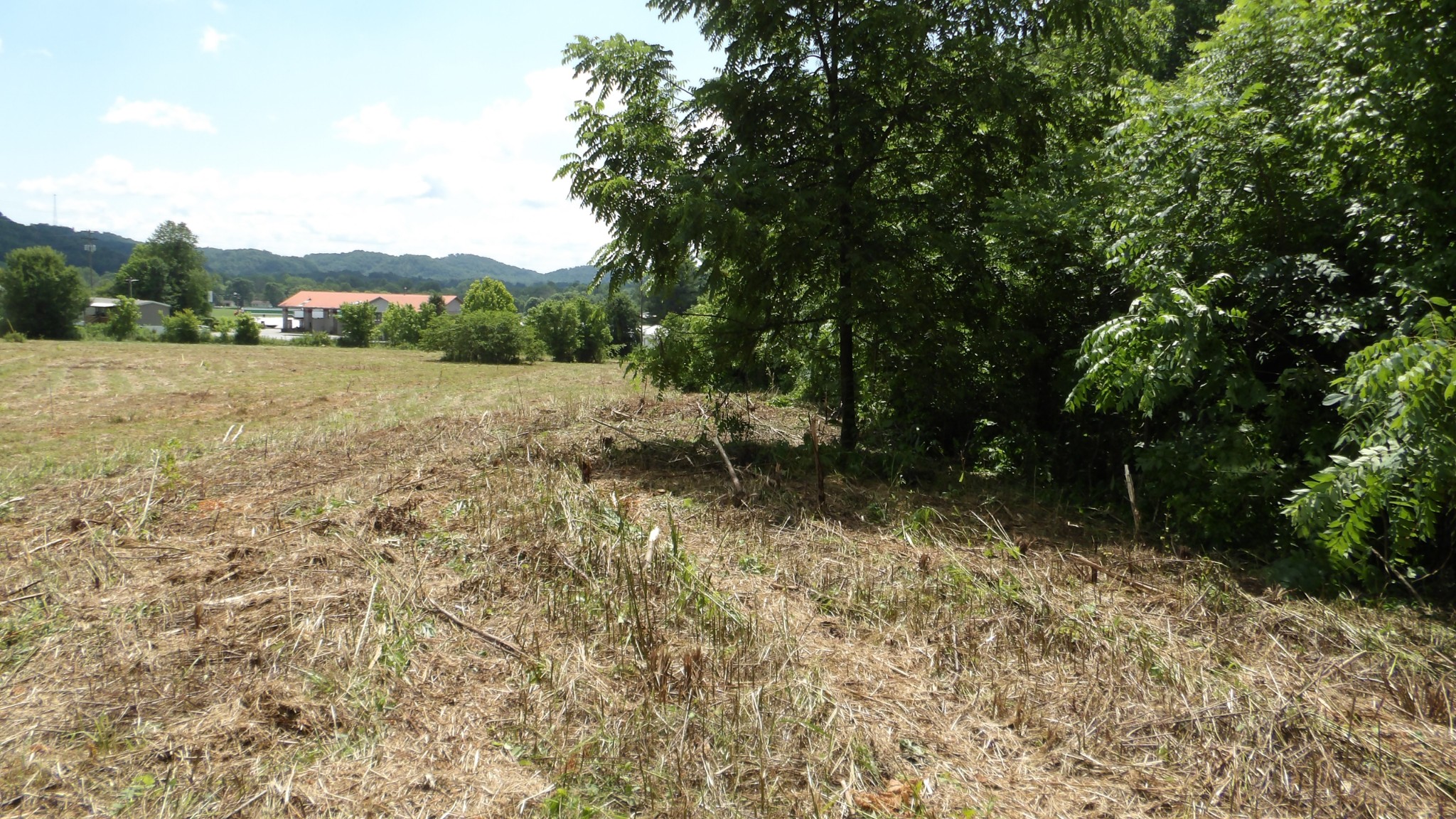 0 Lonnie Reecer Road Celina, TN 38551 - Photo 21 of 43 a view of outdoor space and yard