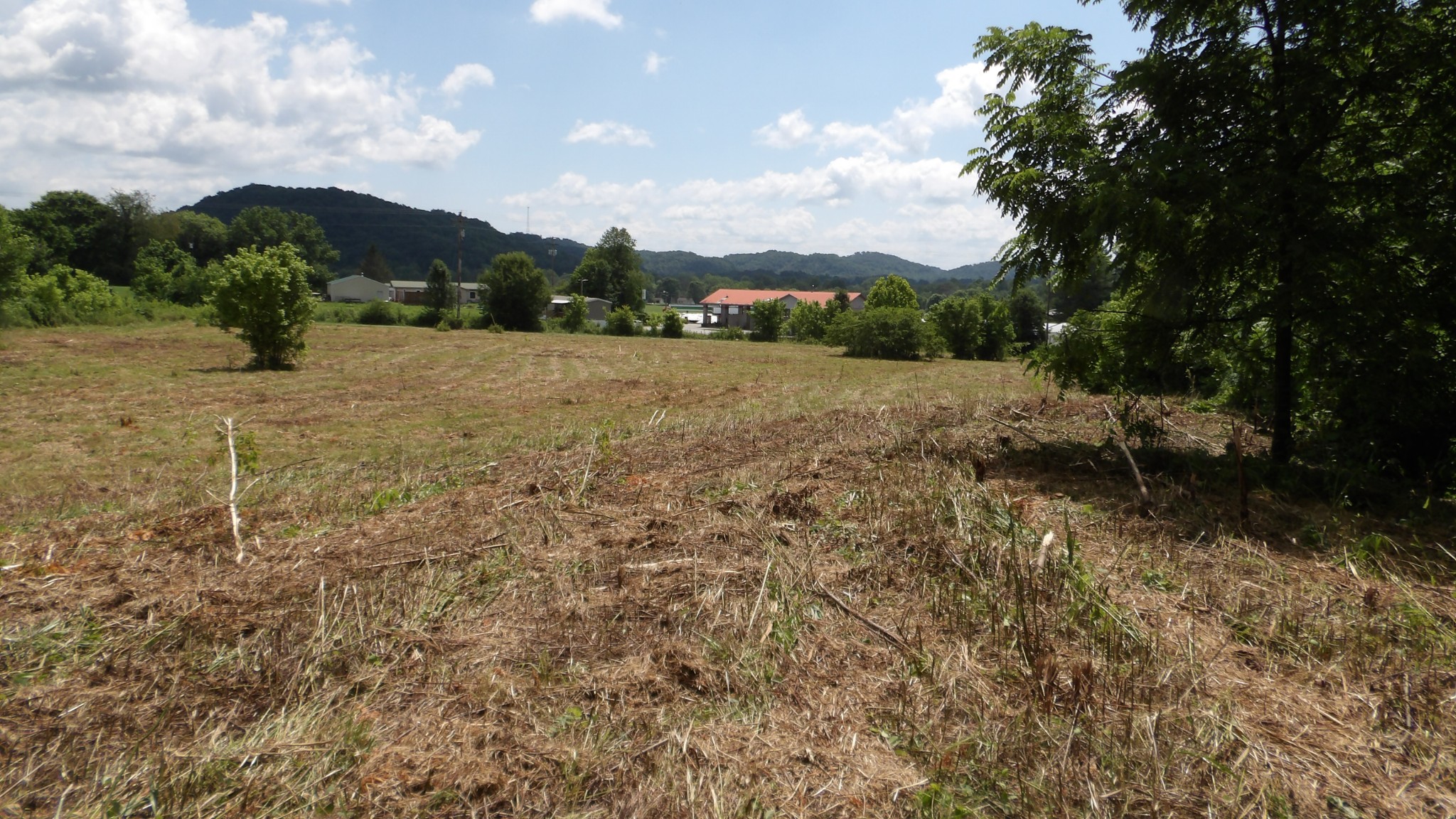 0 Lonnie Reecer Road Celina, TN 38551 - Photo 22 of 43 a view of outdoor space with mountain view