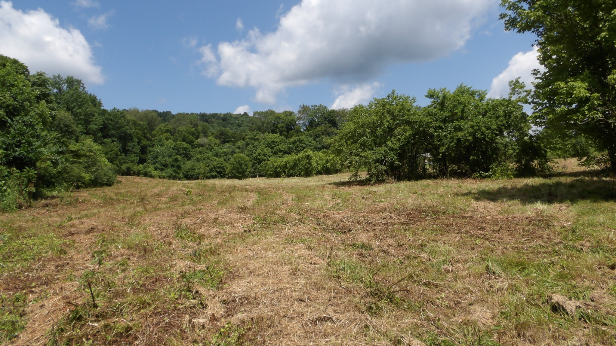0 Lonnie Reecer Road Celina, TN 38551 - Photo 23 of 43 a view of mountain with sunset