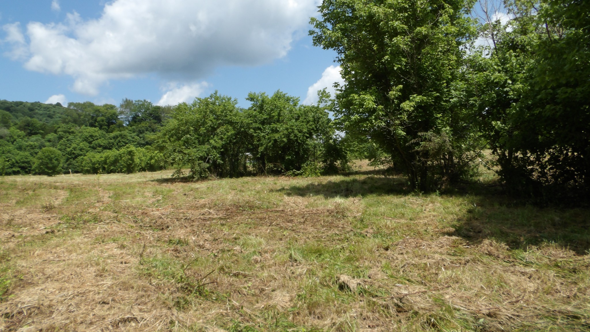 0 Lonnie Reecer Road Celina, TN 38551 - Photo 24 of 43 a view of outdoor space and yard