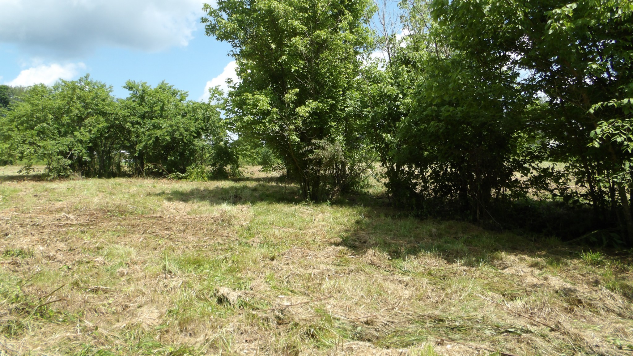 0 Lonnie Reecer Road Celina, TN 38551 - Photo 26 of 43 a view of yard with green space