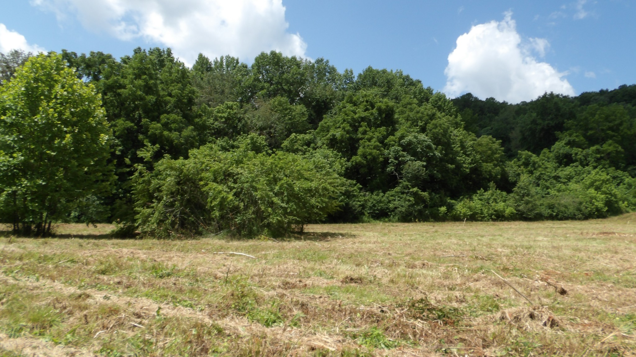 0 Lonnie Reecer Road Celina, TN 38551 - Photo 32 of 43 a view of basketball court
