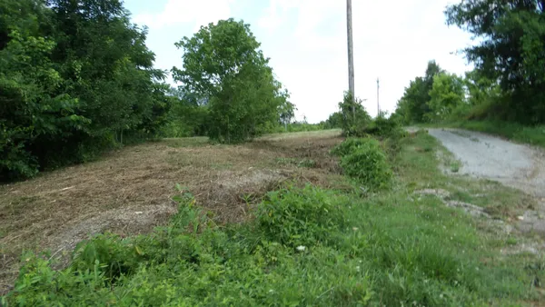 a view of a field with trees in the background