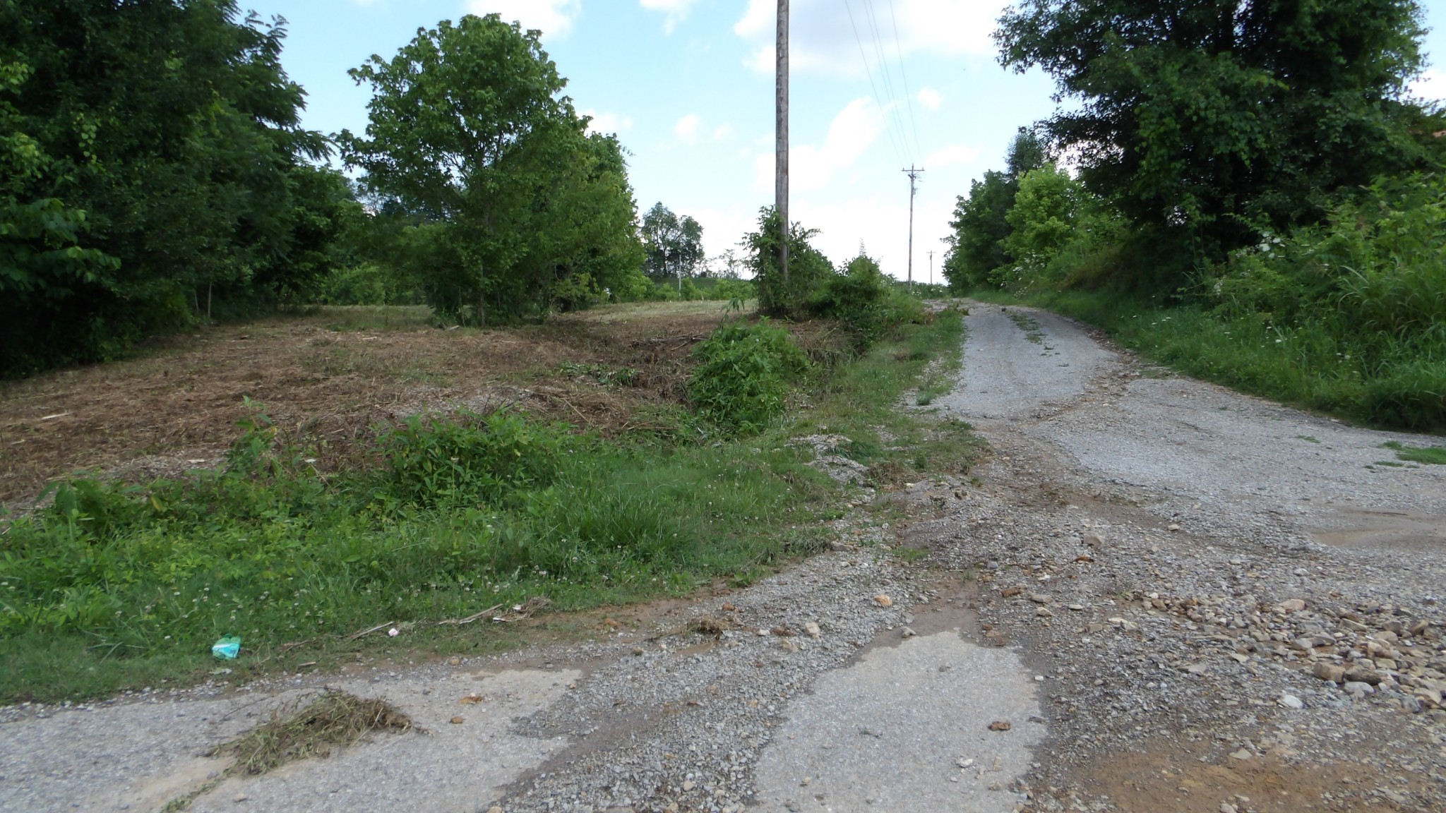 0 Lonnie Reecer Road Celina, TN 38551 - Photo 36 of 43 a view of a dirt road with a trees in the background