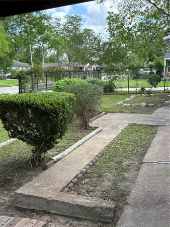 a view of a park with large trees