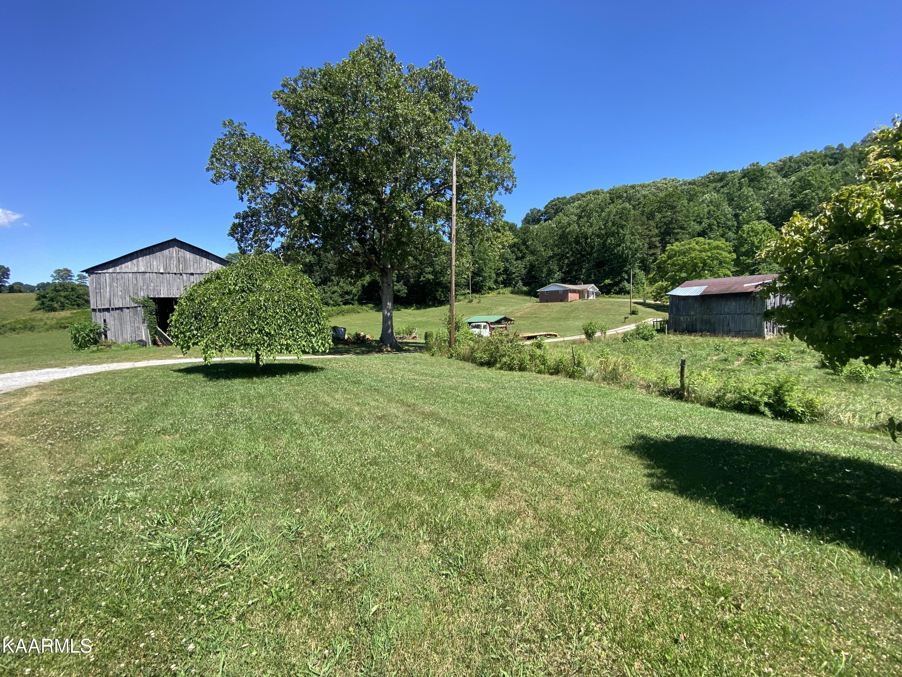 281 Nunn Hollow Road Harrogate, TN 37752 - Photo 23 of 38 IMG-8471