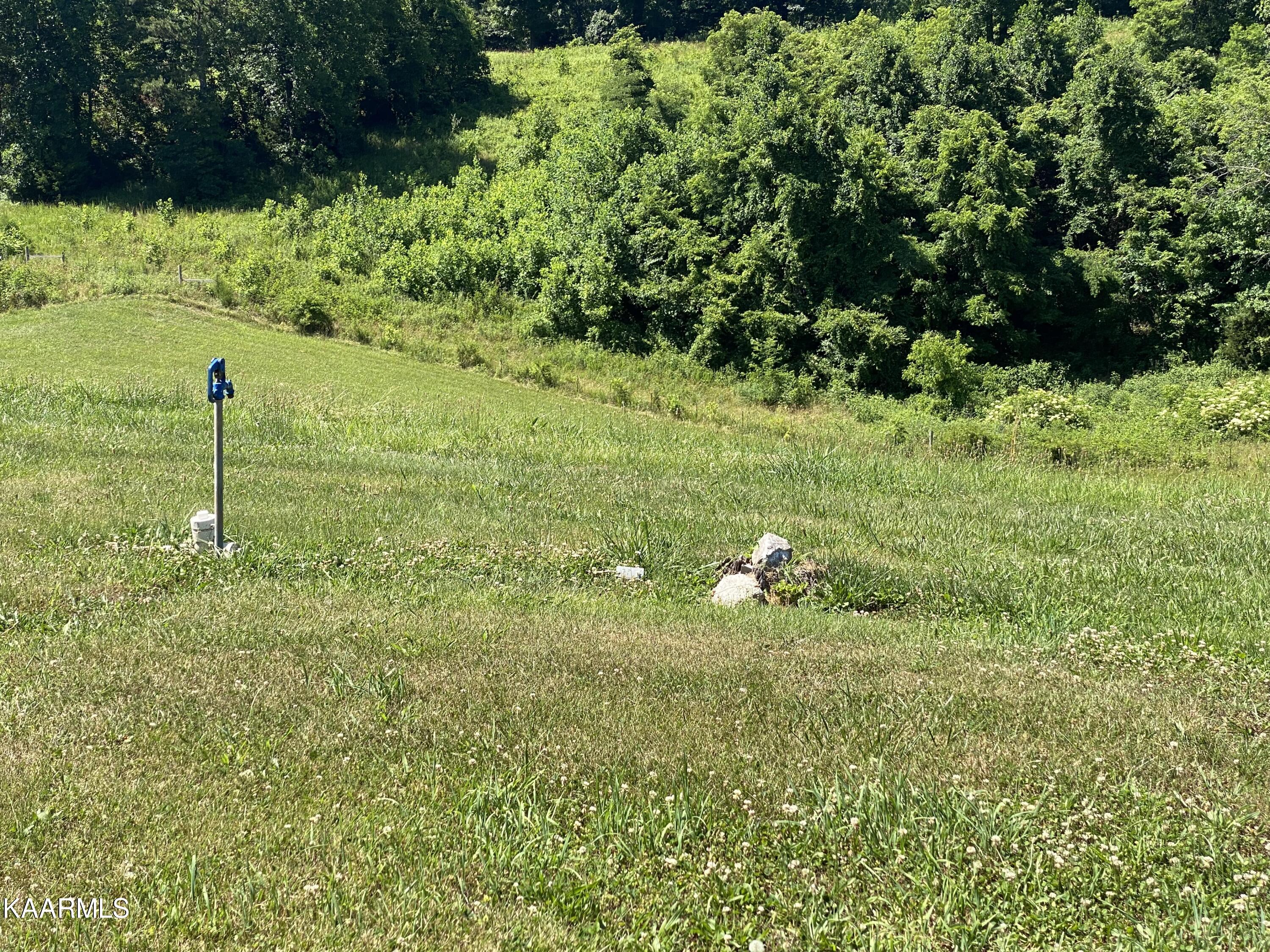 281 Nunn Hollow Road Harrogate, TN 37752 - Photo 27 of 38 IMG-8477