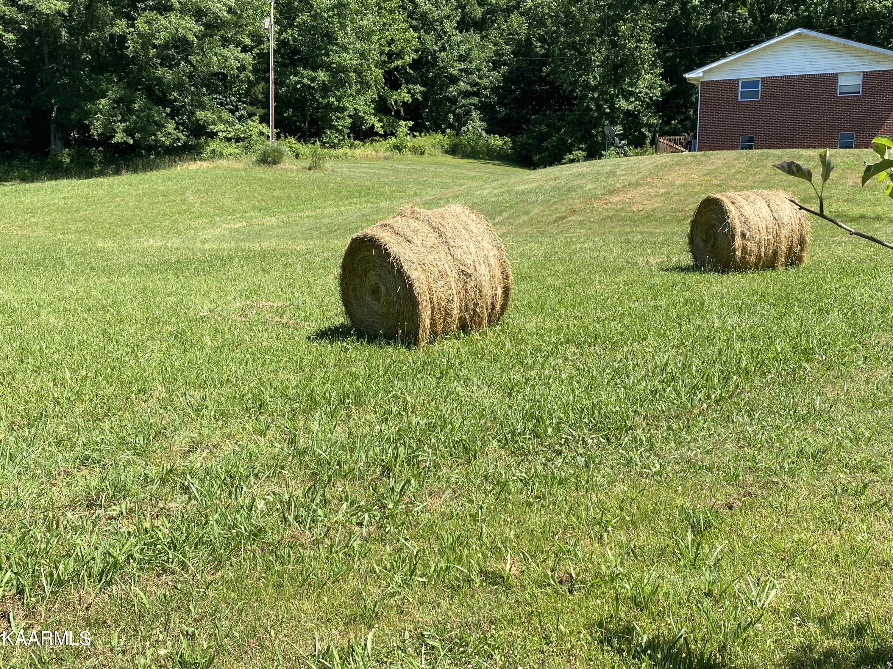 281 Nunn Hollow Road Harrogate, TN 37752 - Photo 30 of 38 IMG-8482 (1)