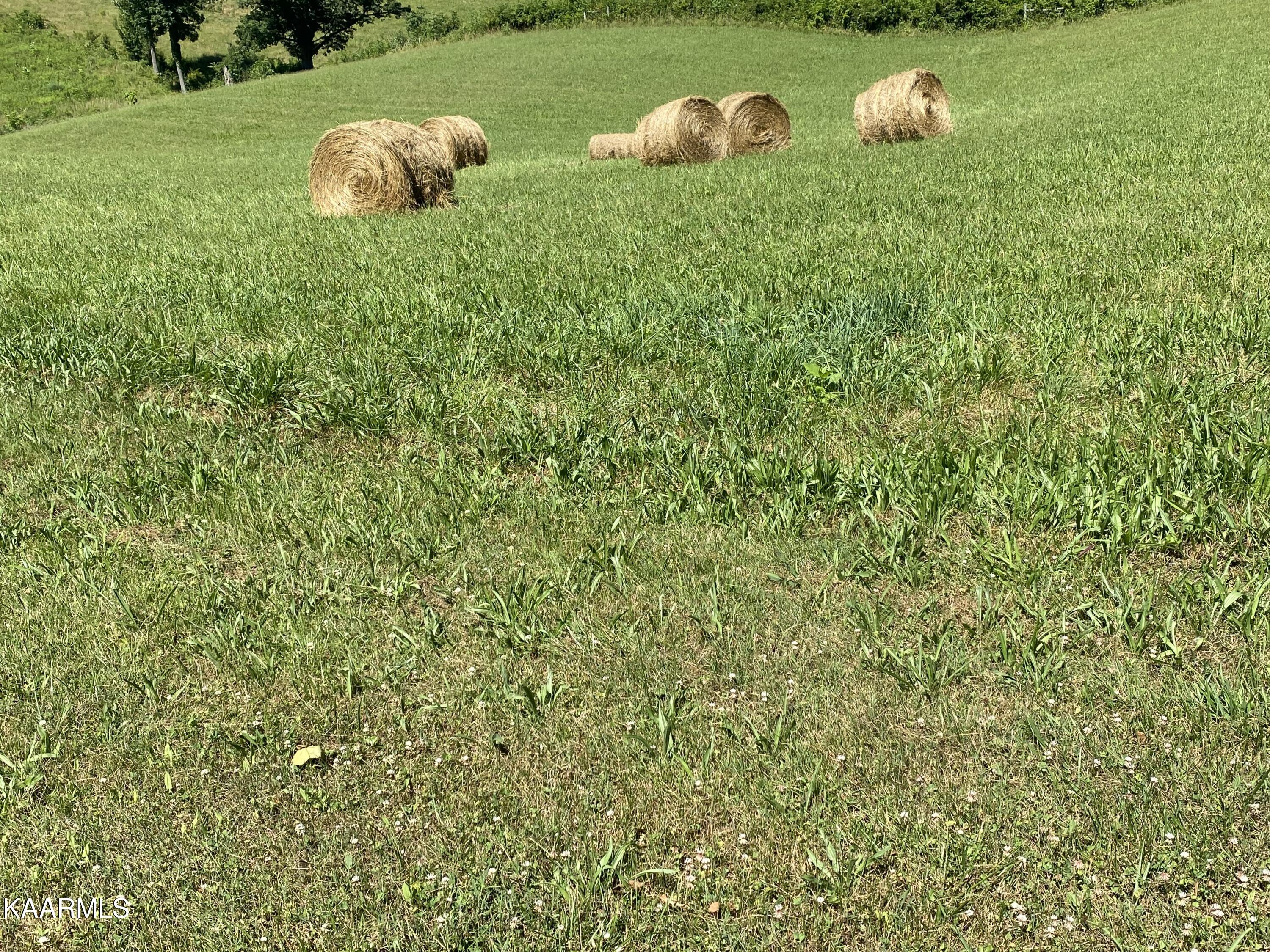 281 Nunn Hollow Road Harrogate, TN 37752 - Photo 31 of 38 IMG-8483