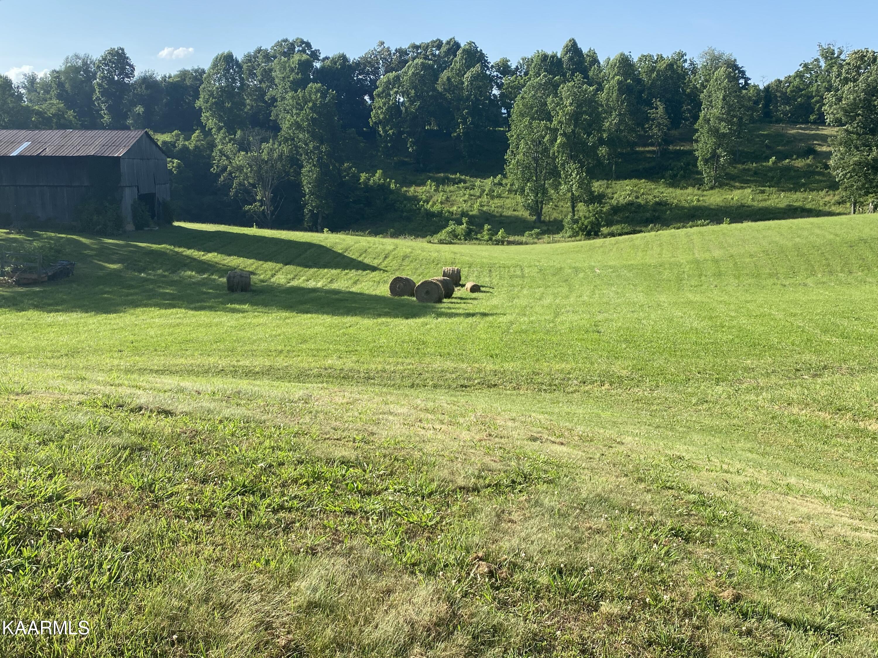 281 Nunn Hollow Road Harrogate, TN 37752 - Photo 4 of 38 IMG-8372