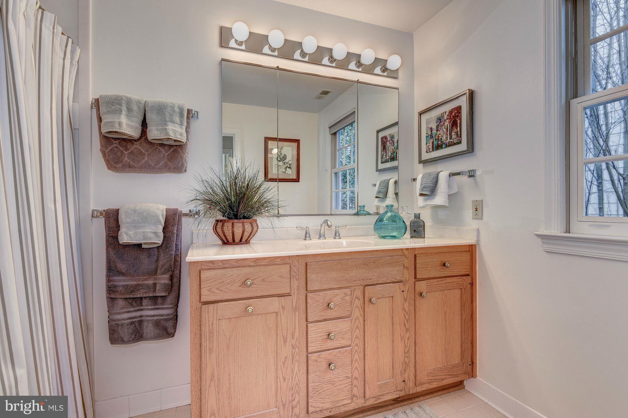 4418 Ridge Street Chevy Chase, MD 20815 - Photo 14 of 30 Bath (Master)