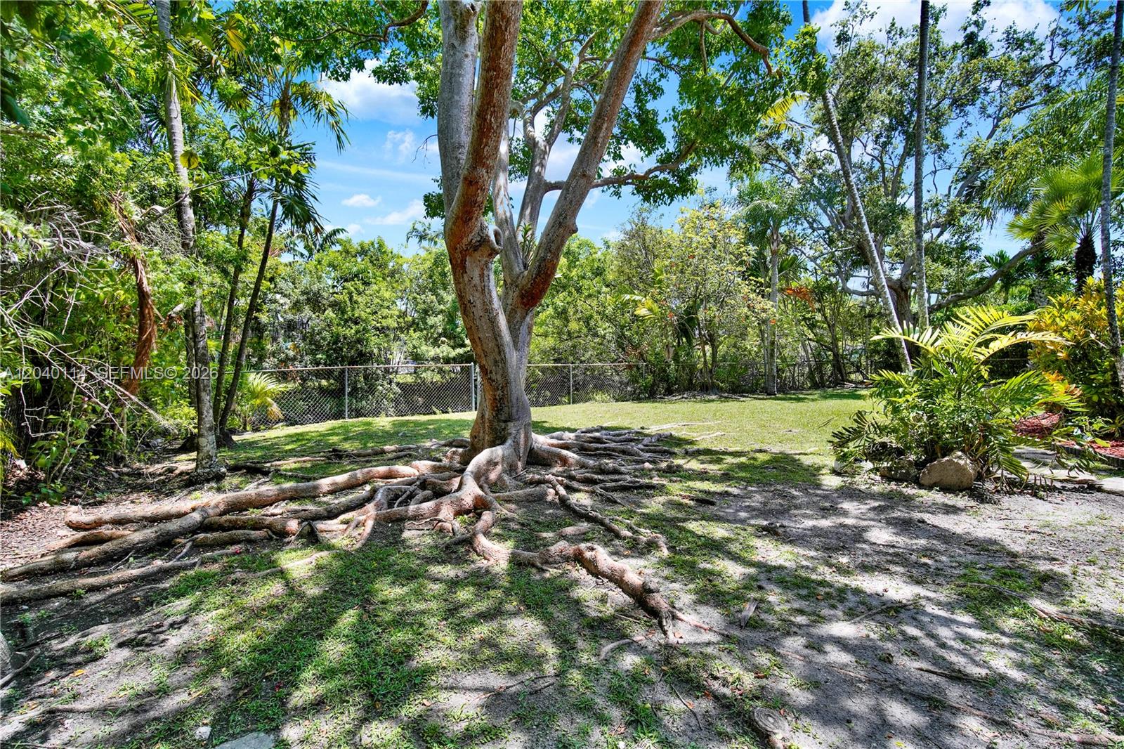 10435 Southwest 96th Street Miami, FL 33176 - Photo 34 of 44 Back yard