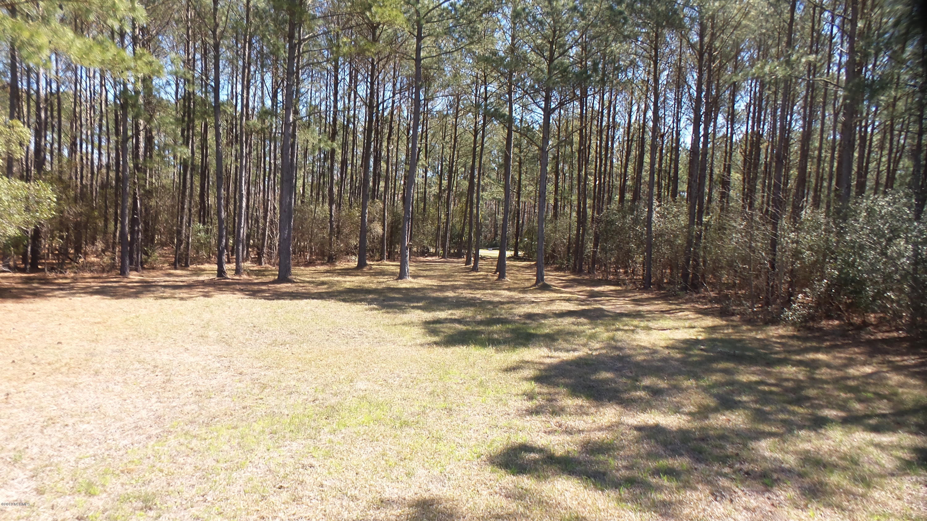 751 Arant Farm Road Merritt, NC 28556 - Photo 11 of 22 20190318_075824