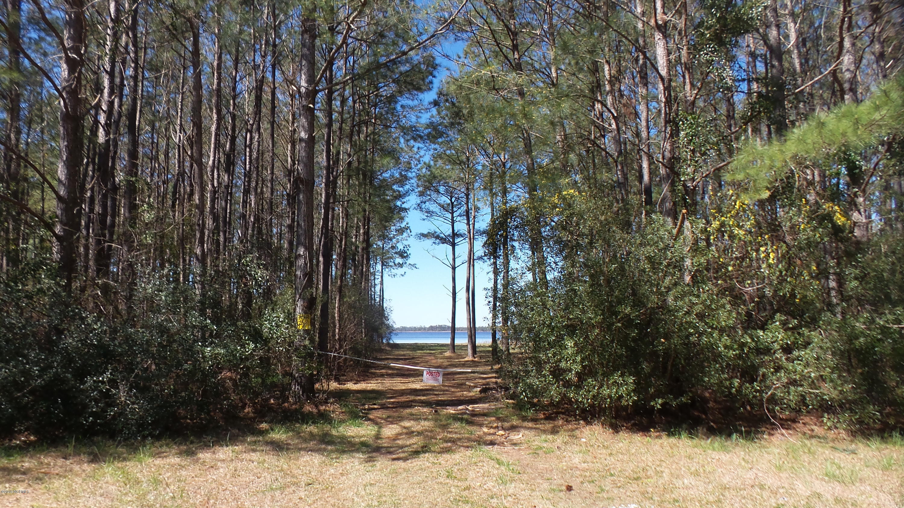 751 Arant Farm Road Merritt, NC 28556 - Photo 5 of 22 View fr Street down driveway