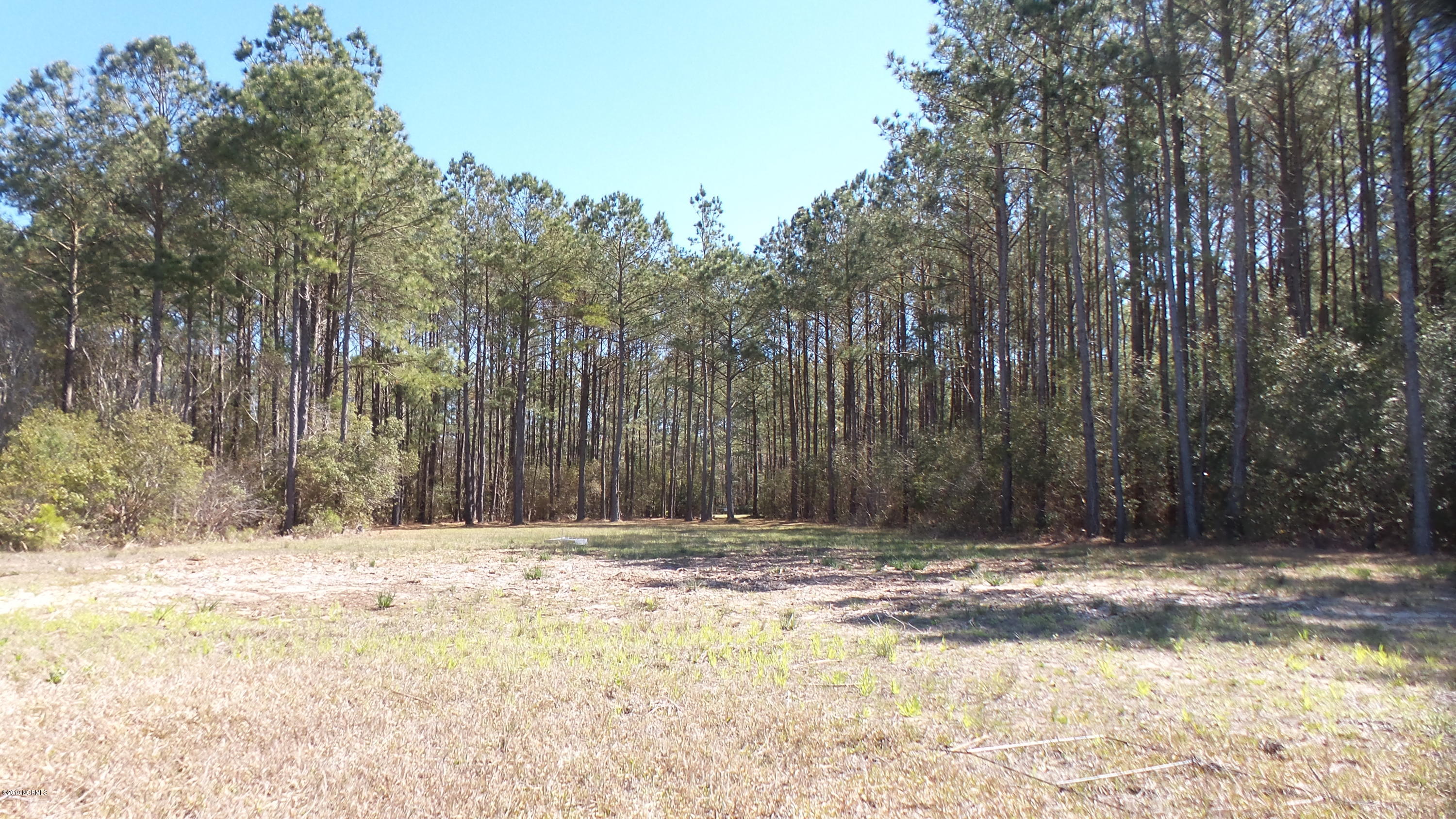 751 Arant Farm Road Merritt, NC 28556 - Photo 9 of 22 20190318_080014