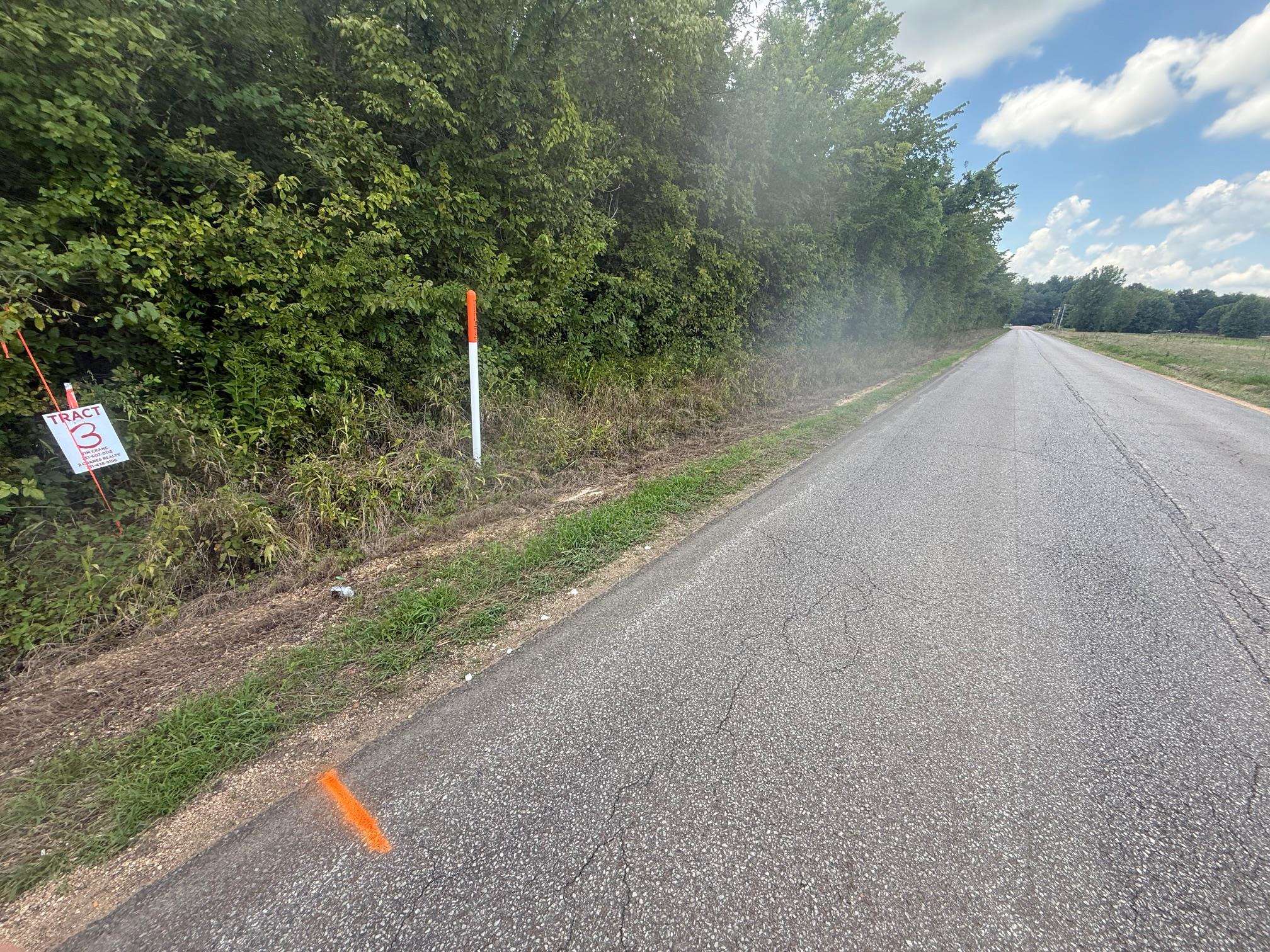 2 Coffee Landing Road Savannah, TN 38372 - Photo 3 of 11 View of asphalt road