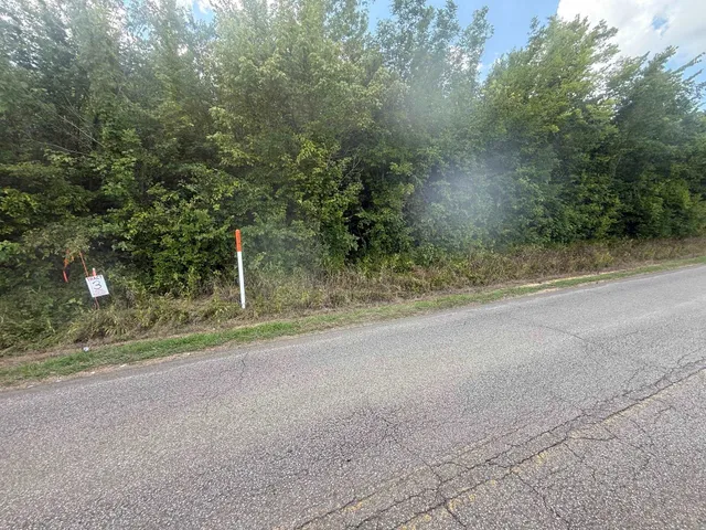 a view of a yard with a tree