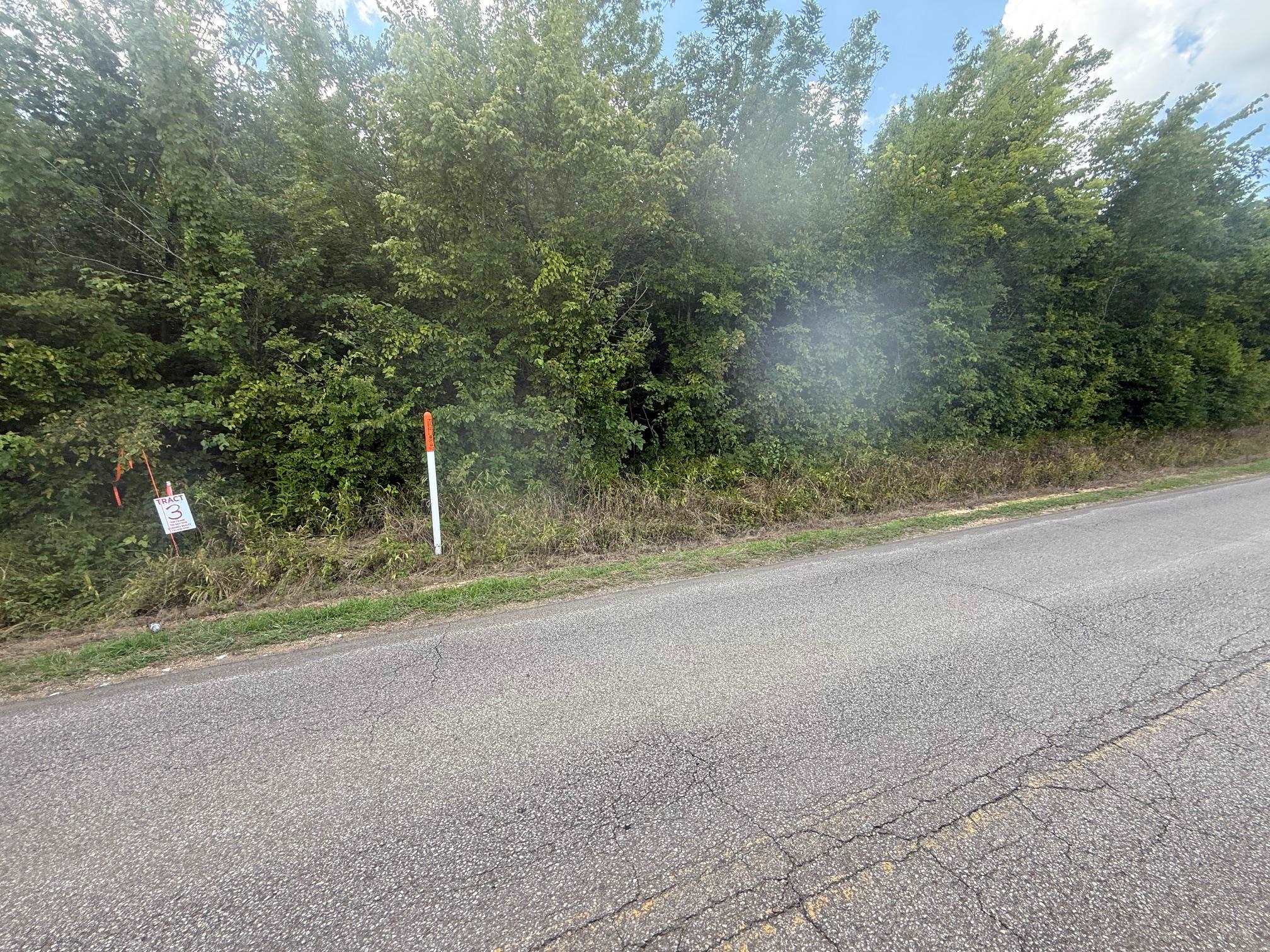 2 Coffee Landing Road Savannah, TN 38372 - Photo 4 of 11 View of asphalt street