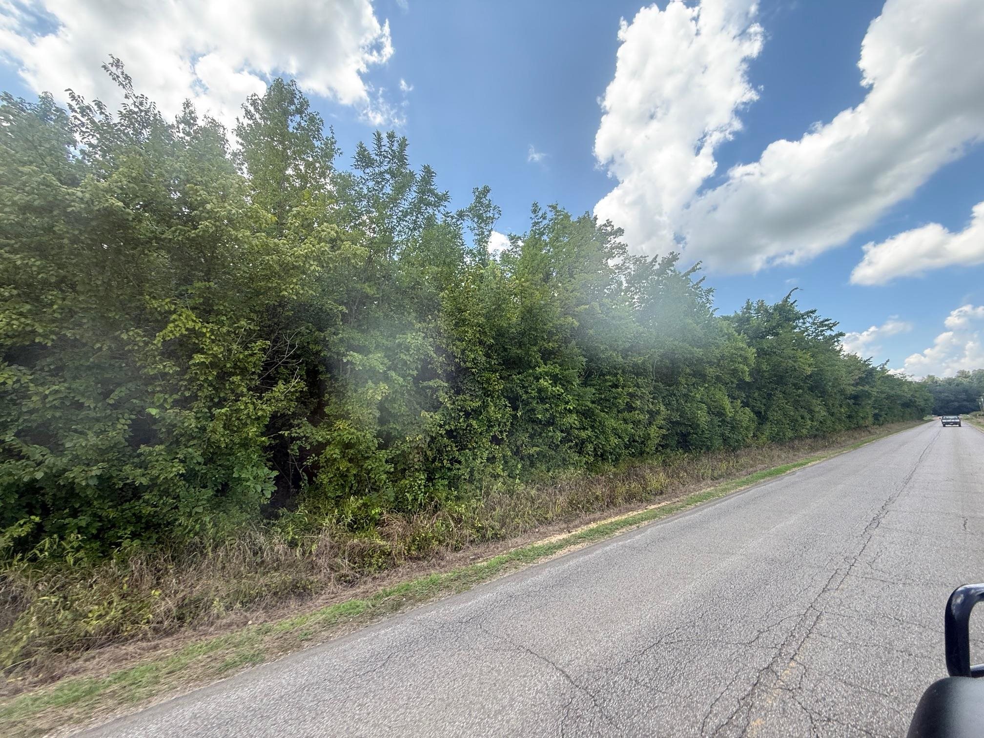 2 Coffee Landing Road Savannah, TN 38372 - Photo 5 of 11 View of asphalt road