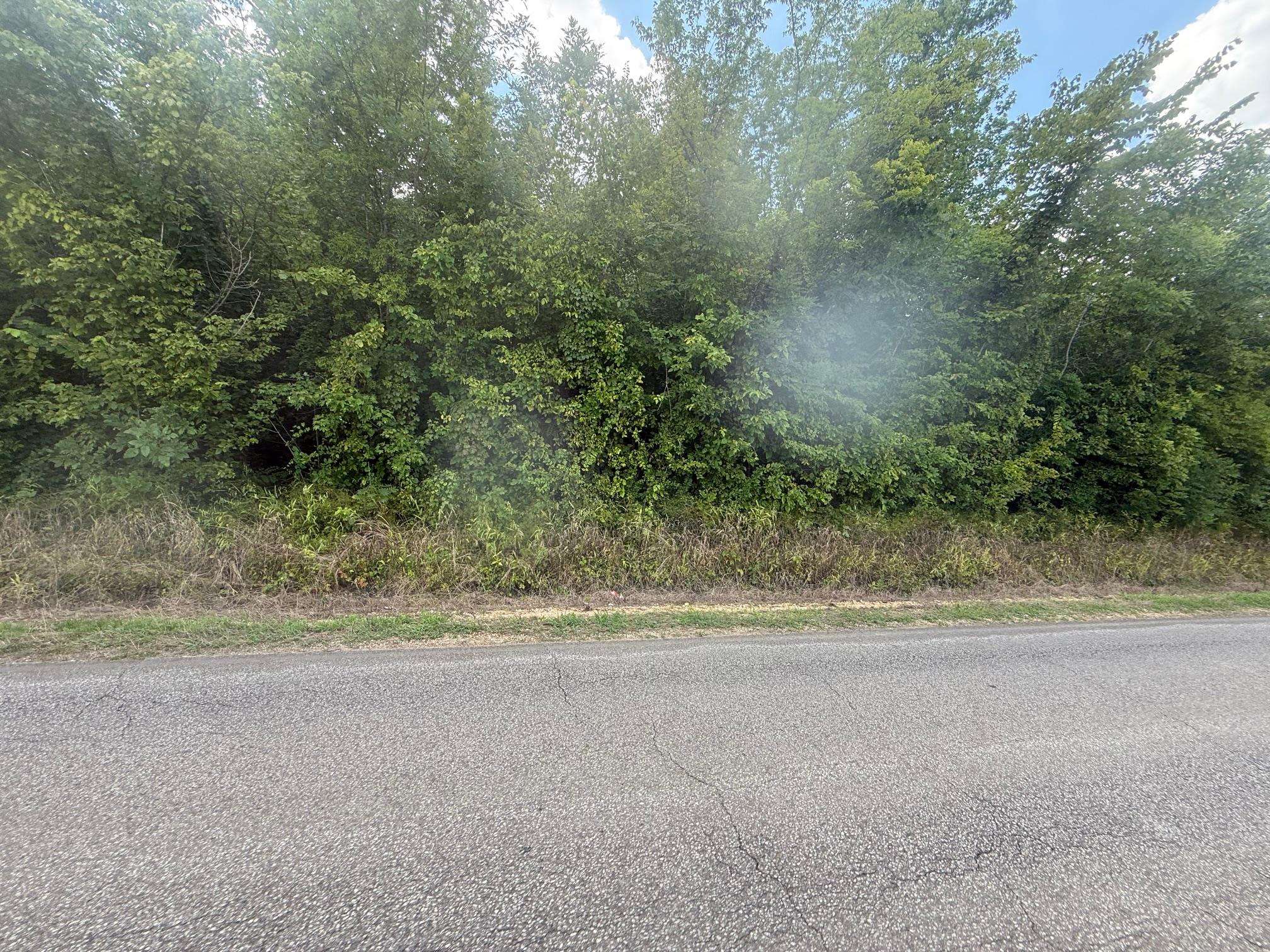 2 Coffee Landing Road Savannah, TN 38372 - Photo 6 of 11 View of asphalt street