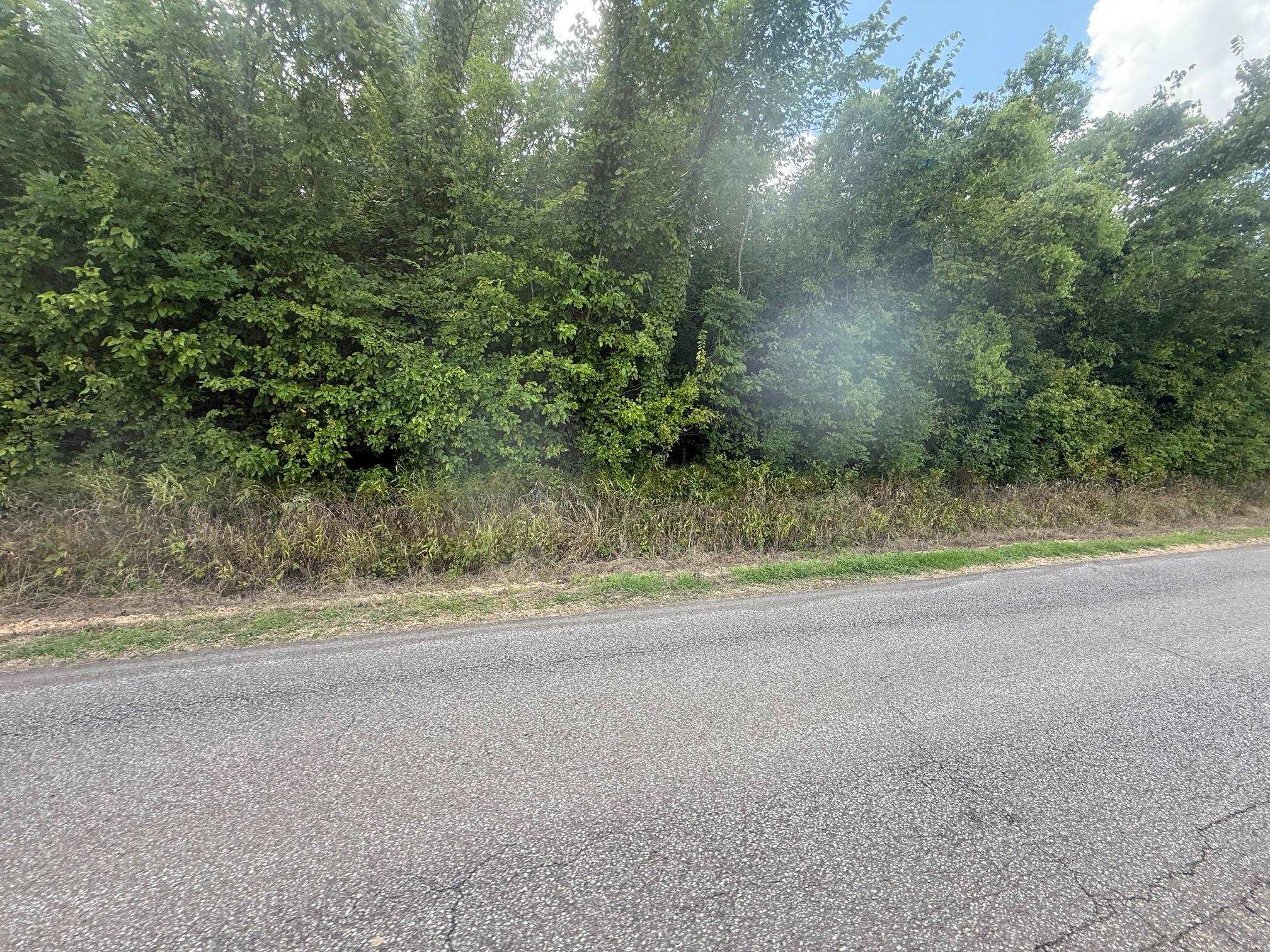 2 Coffee Landing Road Savannah, TN 38372 - Photo 7 of 11 View of asphalt road