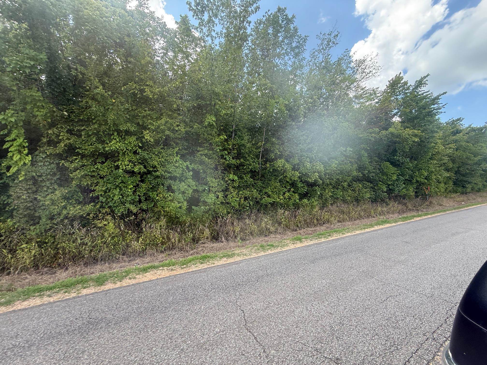 2 Coffee Landing Road Savannah, TN 38372 - Photo 8 of 11 View of asphalt street