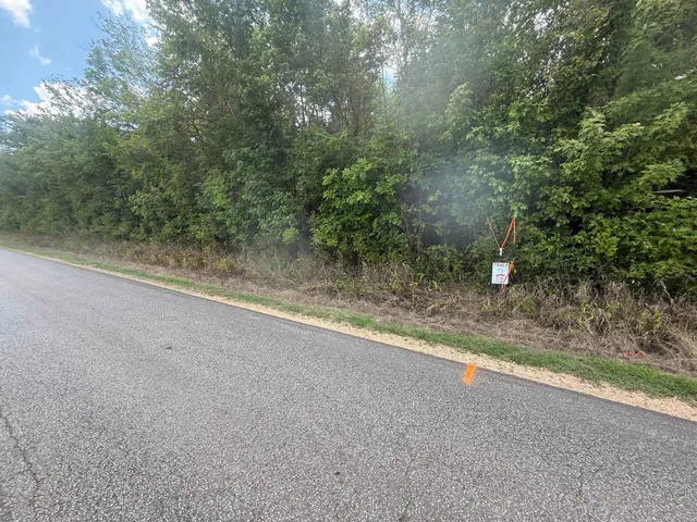 a view of a yard with a tree