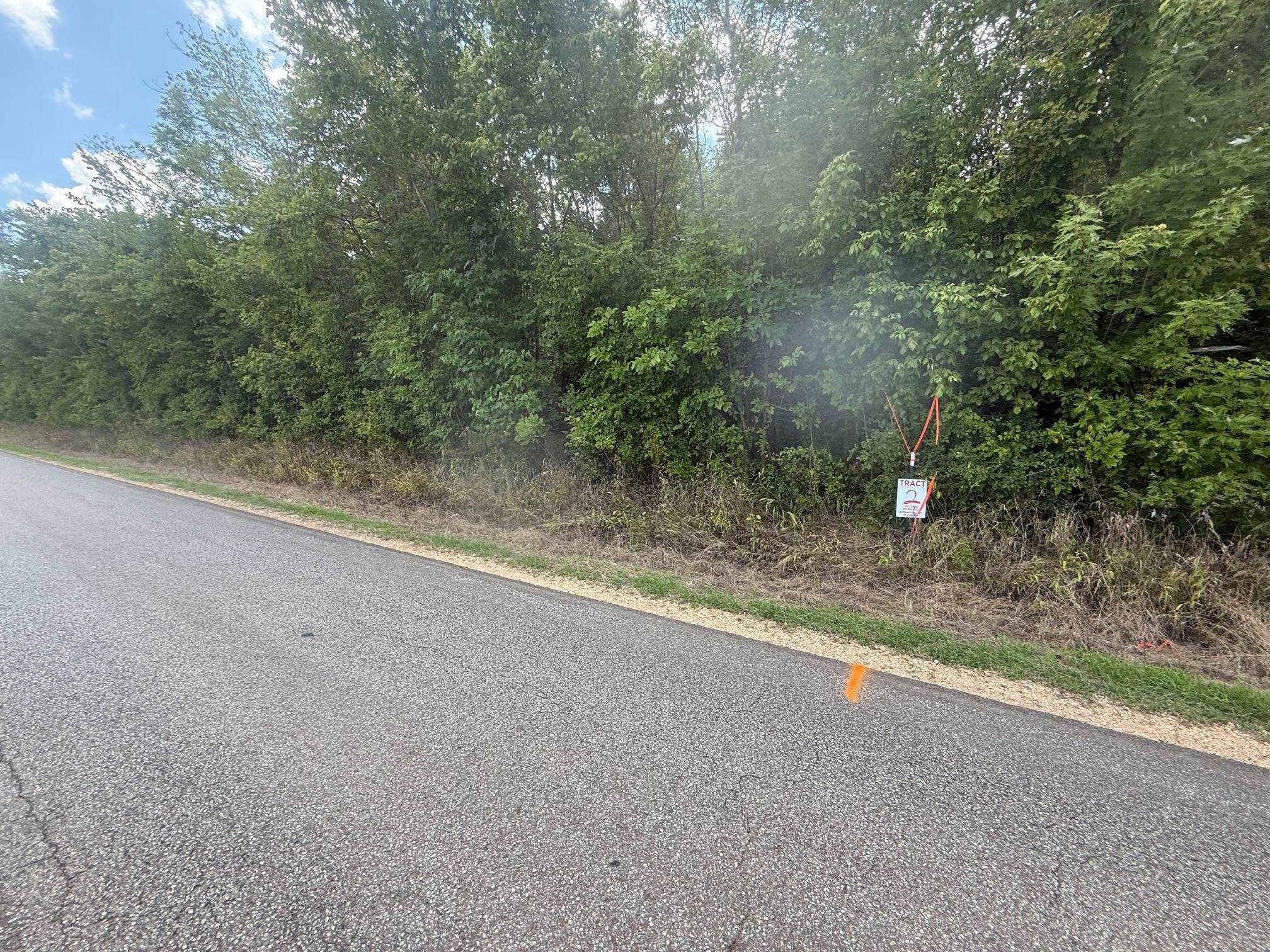 2 Coffee Landing Road Savannah, TN 38372 - Photo 9 of 11 View of asphalt road