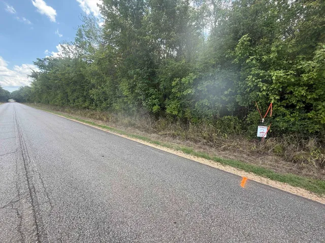 a view of a yard with a tree