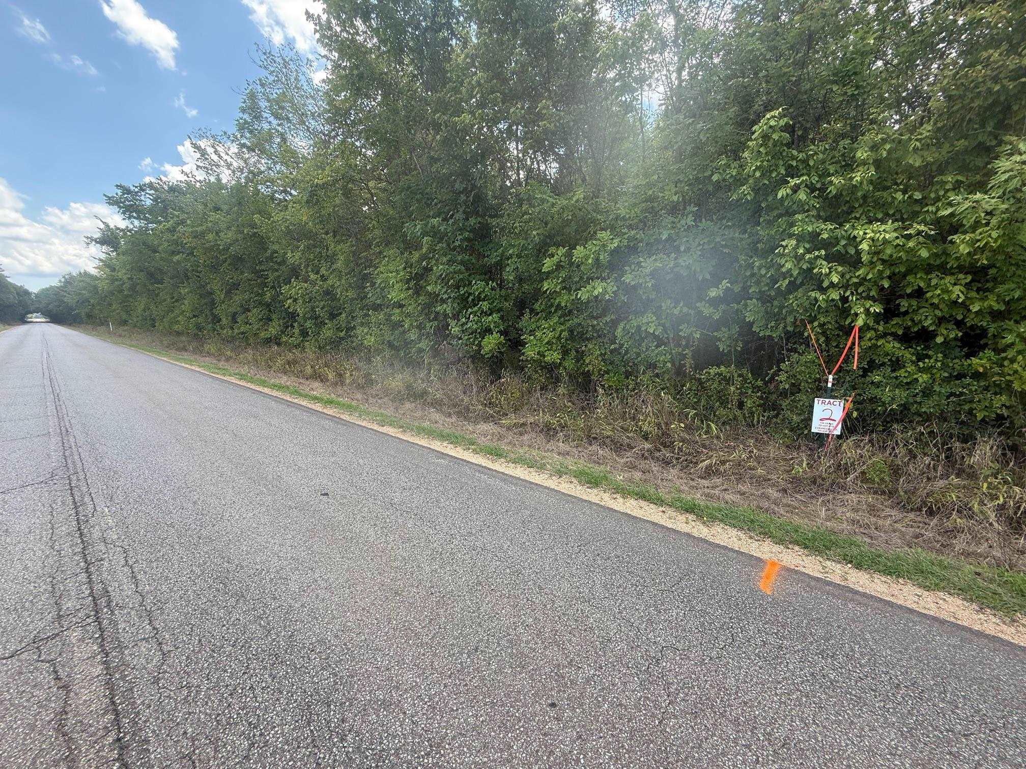 2 Coffee Landing Road Savannah, TN 38372 - Photo 10 of 11 View of asphalt street