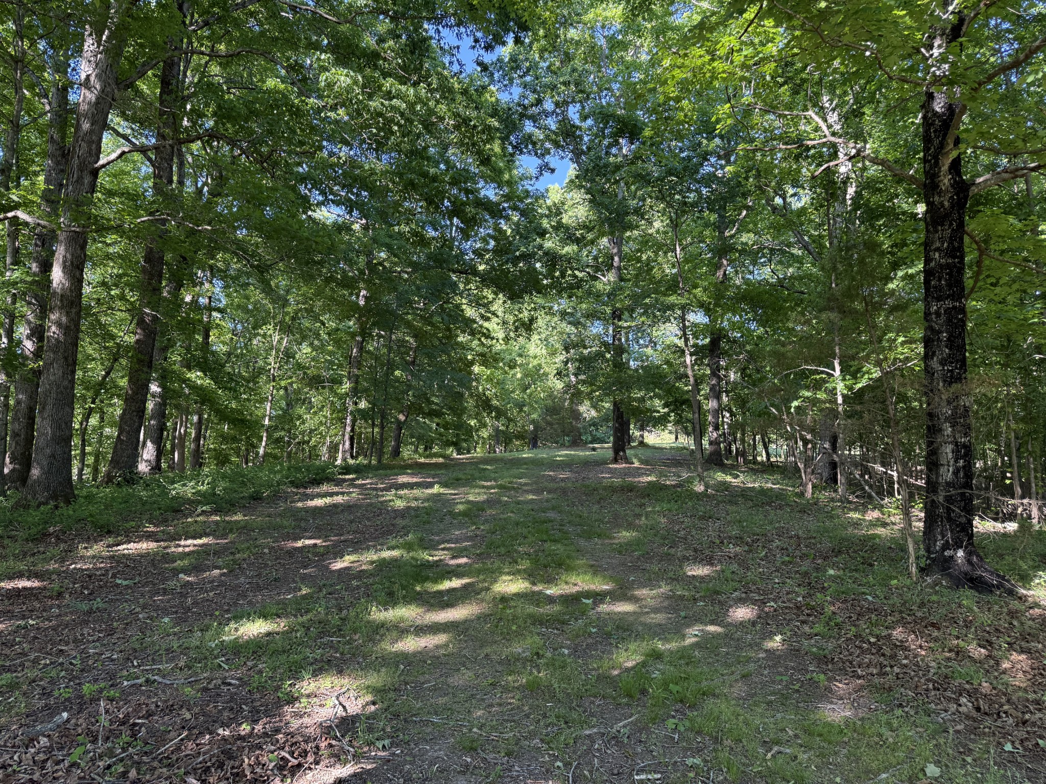 0 Poplar Grove Road McEwen, TN 37101 - Photo 31 of 51 Gallery Image 31